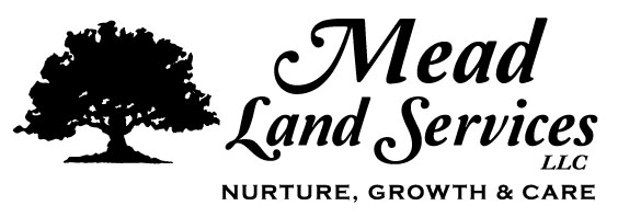 Mead Land Services, LLC